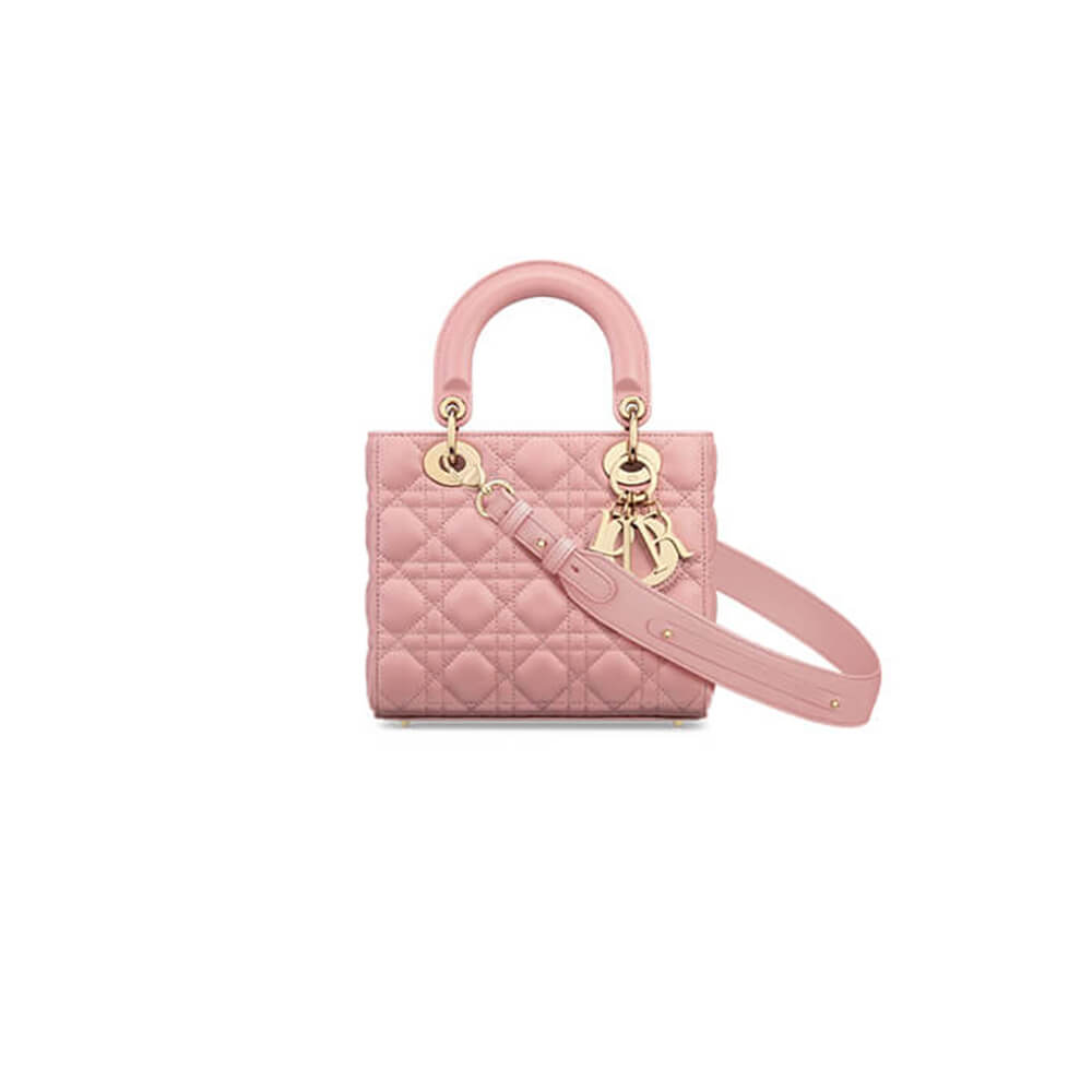 small lady D*or my abcD*or bag