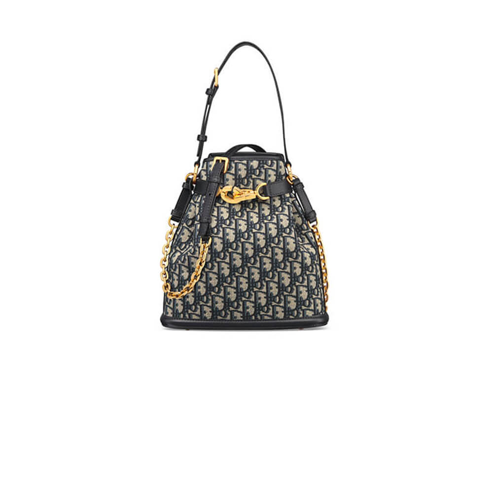medium c’est D*or bag